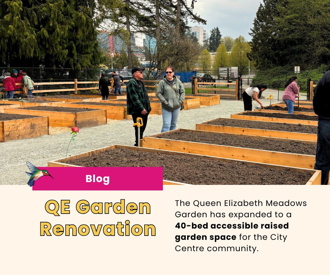 QE Meadows Garden Renovation